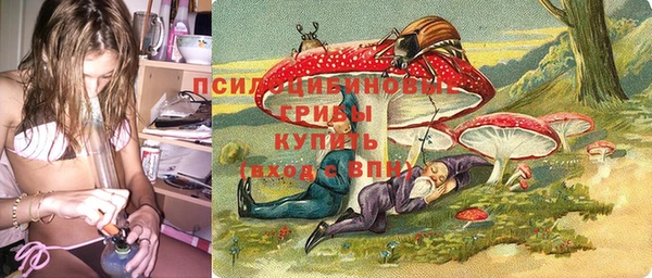 мяу мяу мука Армянск